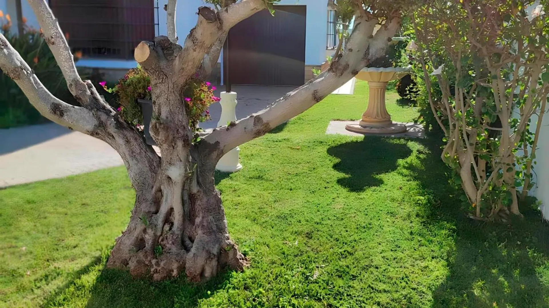 Σπίτι διακοπών Chalet Grande Con Piscina Para Parejas Y Familias Conil De La Frontera Ισπανία